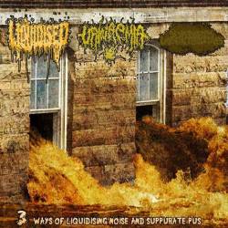 Sexperiments Liquidalternatives : 3 Ways of Liquidising Noise and Suppurate Pus